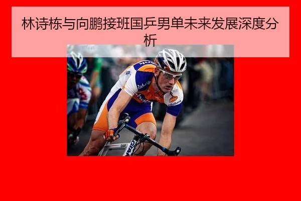 林诗栋与向鹏接班国乒男单未来发展深度分析